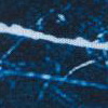 icescenic blue