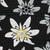 edelweiss black